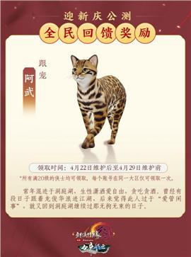 天龙八部私服单机假人